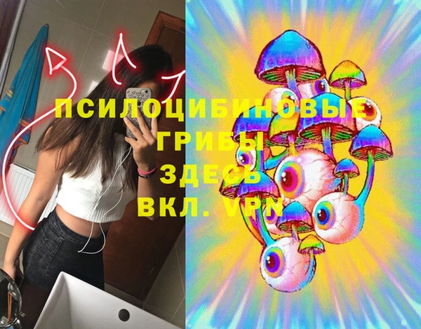 прущая мука Абаза