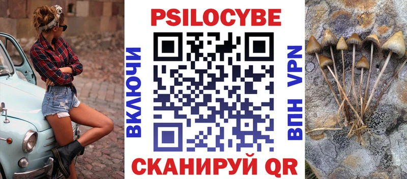 Псилоцибиновые грибы Psilocybe  omg   Нижняя Тура 